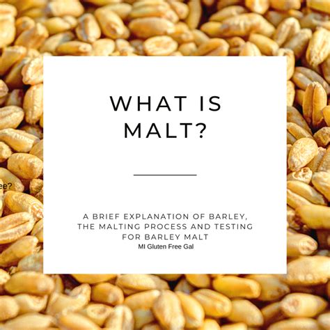 what is malt for cooking.